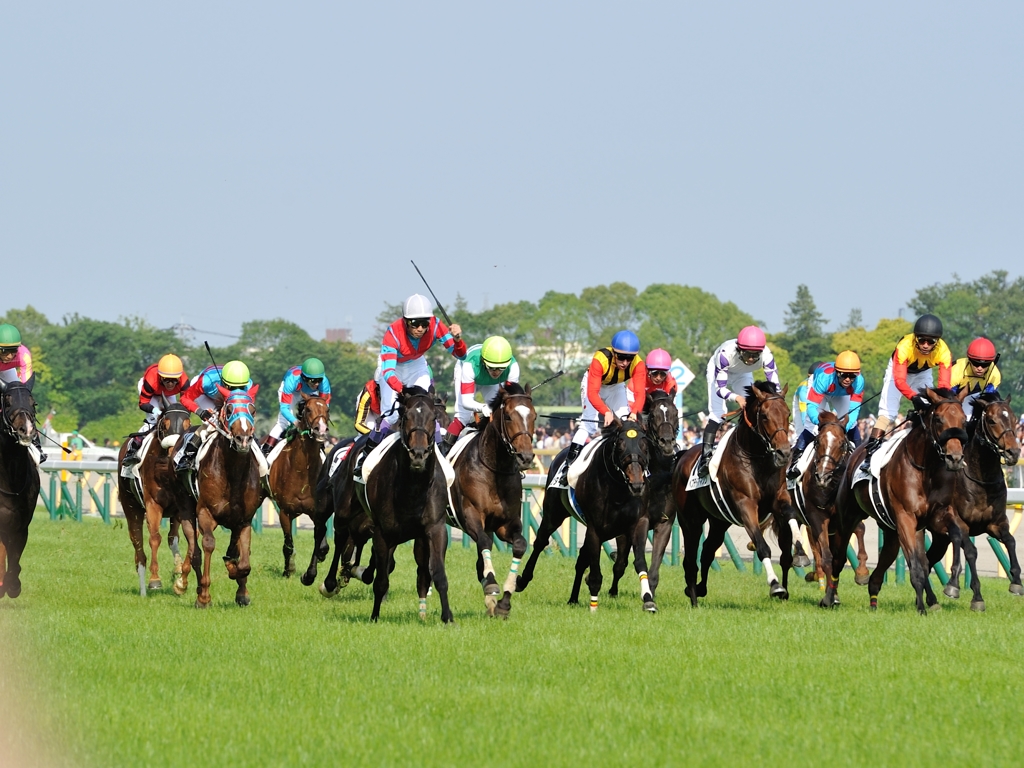 匿名送料無料 ☆キズナ 第80回 日本ダービー GⅠ 優勝 やむを得