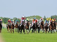 東京競馬場 #16 第80回日本ダービー優勝馬①キズナ