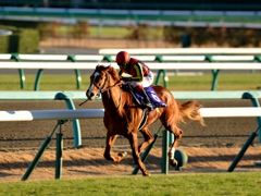 中山競馬場 #1 第58回有馬記念優勝馬⑥オルフェーヴル
