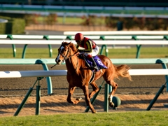 中山競馬場 #1 第58回有馬記念優勝馬⑥オルフェーヴル