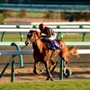 中山競馬場 #1 第58回有馬記念優勝馬⑥オルフェーヴル