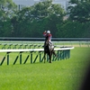 東京競馬場 #17 第80回日本ダービー優勝馬①キズナ