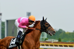 東京競馬場 #11