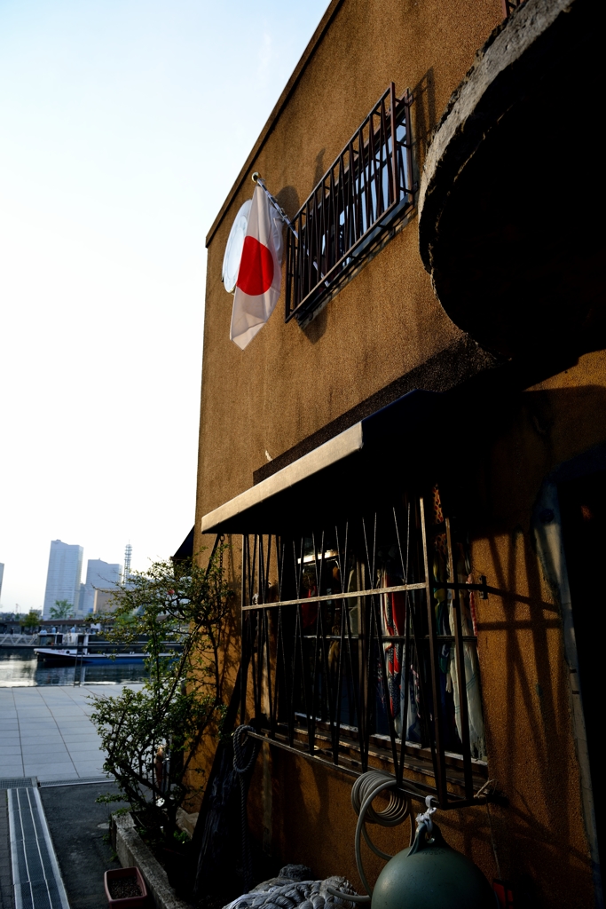 D800 Snap #28