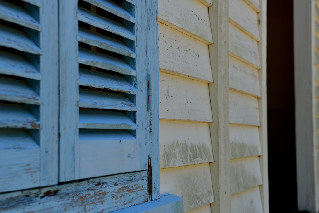 D800 Snap #9