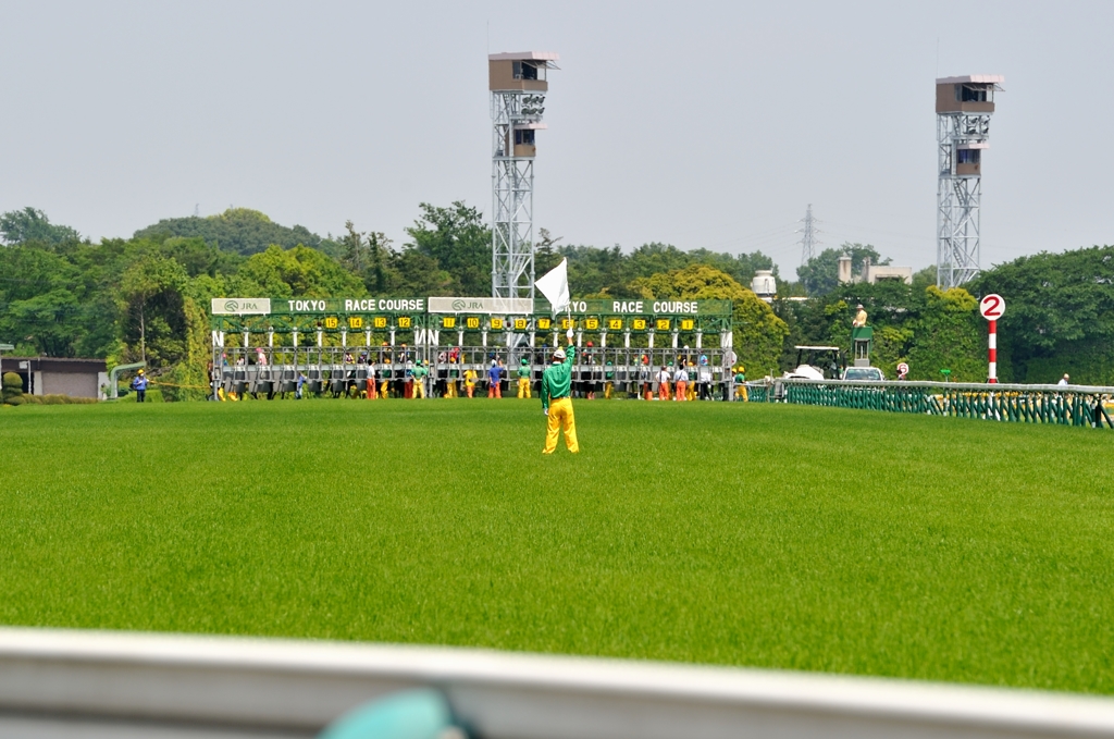 東京競馬場 #10