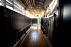 D800 Snap #24