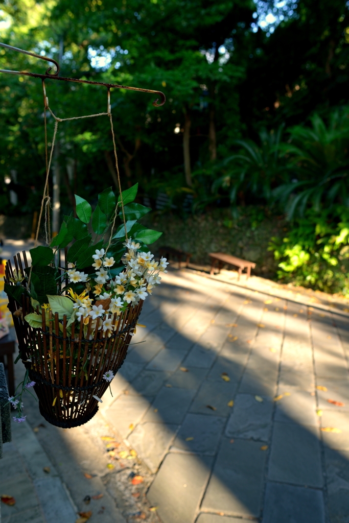 D800 Snap #5