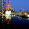 D800 Snap #55