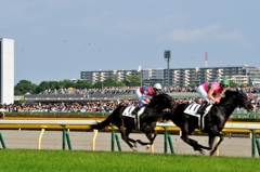 東京競馬場 #15 第80回日本ダービー優勝馬①キズナ