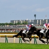 東京競馬場 #15 第80回日本ダービー優勝馬①キズナ