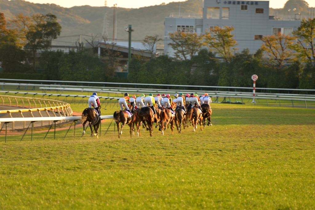 東京競馬場 #2