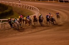 大井競馬場 #1