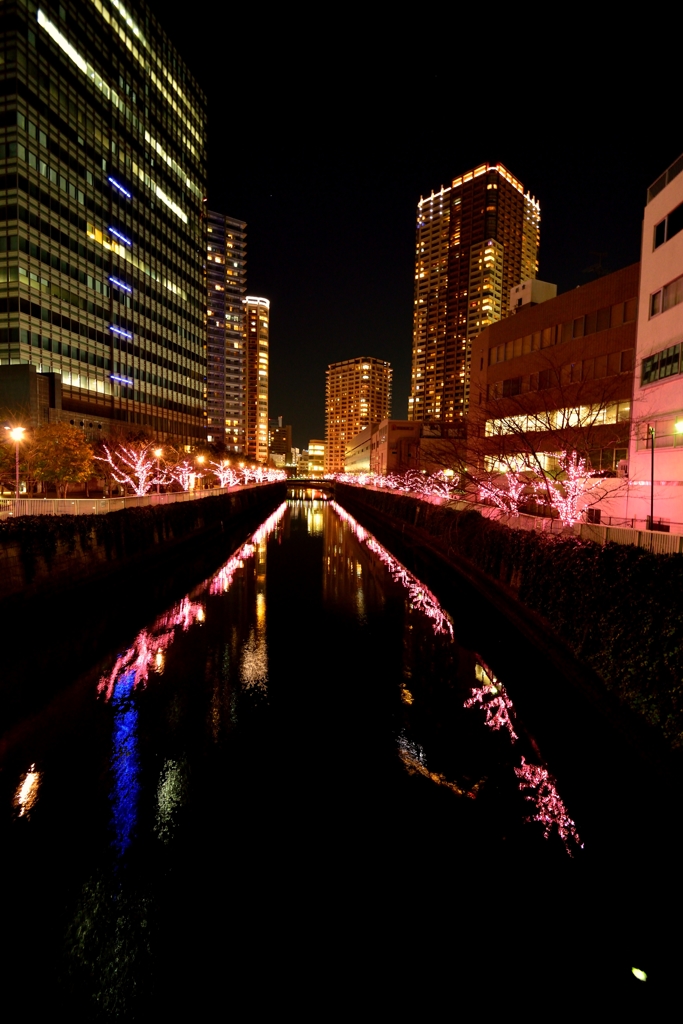 D800 Snap #19
