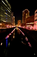 D800 Snap #19