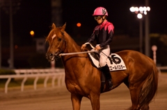 大井競馬場 #2