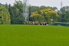 東京競馬場 #6