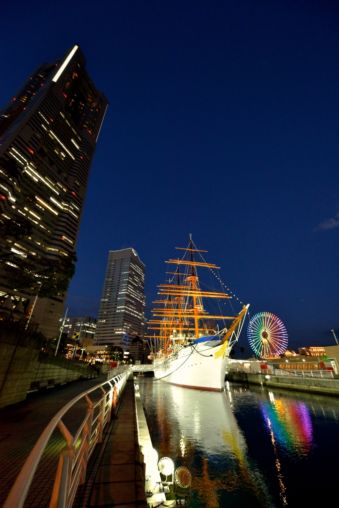 D800 Snap #56