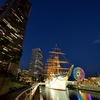 D800 Snap #56