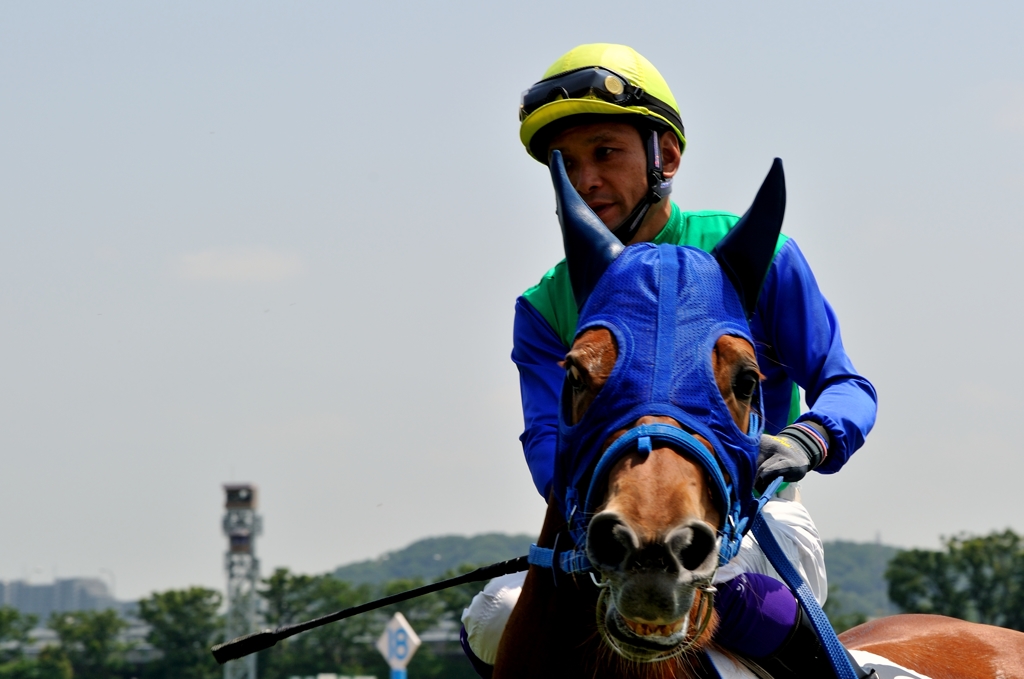 東京競馬場 #8
