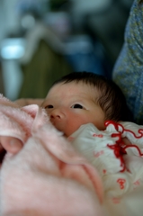 D800 Snap #33