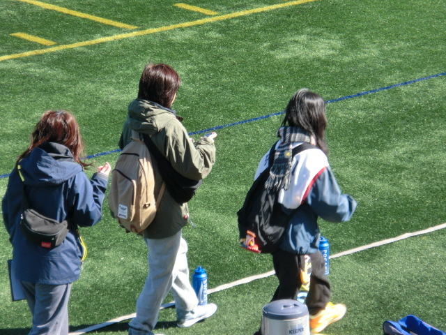 地区交流戦2012