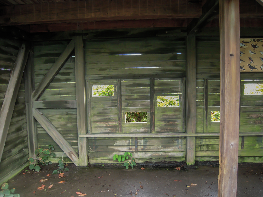 野鳥観察小屋１