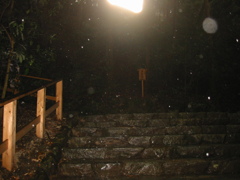 伊勢神宮にて。（カメラの故障？）