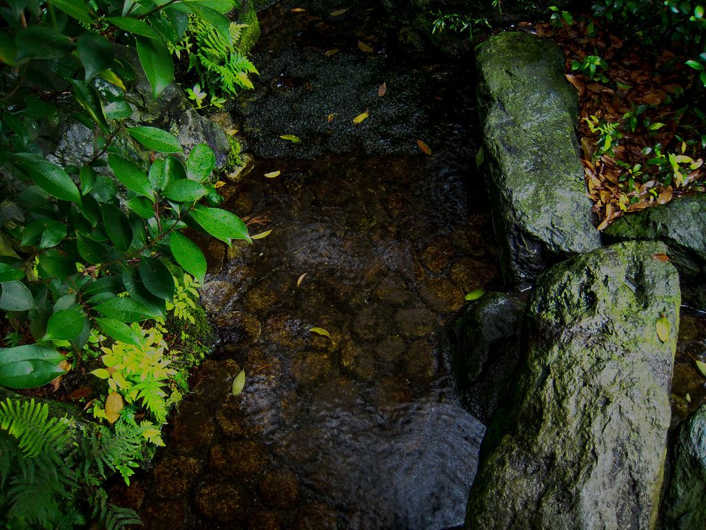 大井神社１１