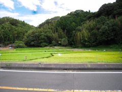 コンデジでレタッチ（コンタチ）里山編