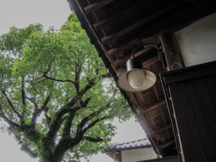 日限地蔵４