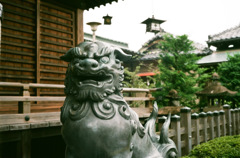 大井神社　本社　狛犬
