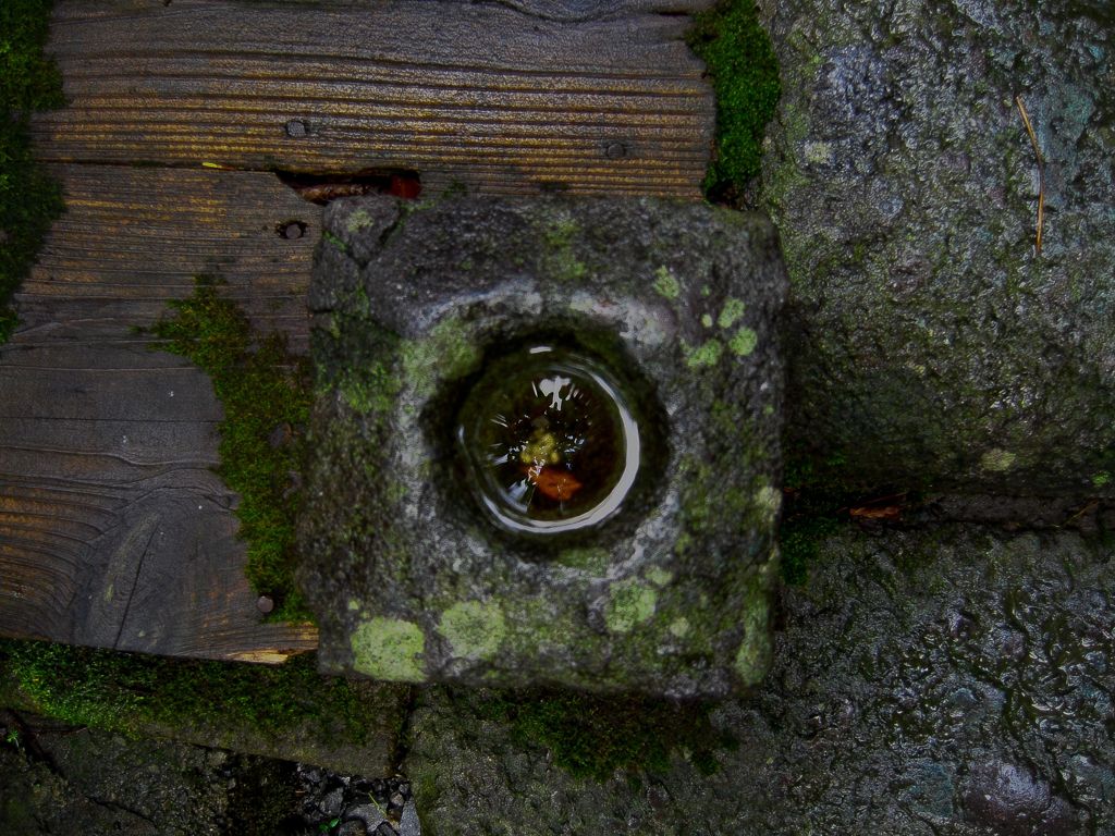 大井神社１６