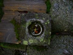大井神社１６