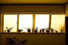 幸福の予感。