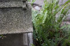 １２月１５日、明日は地の神様のお祭りです。