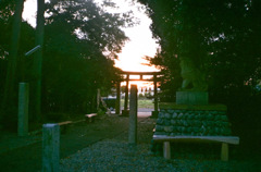 早朝のいつもの神社