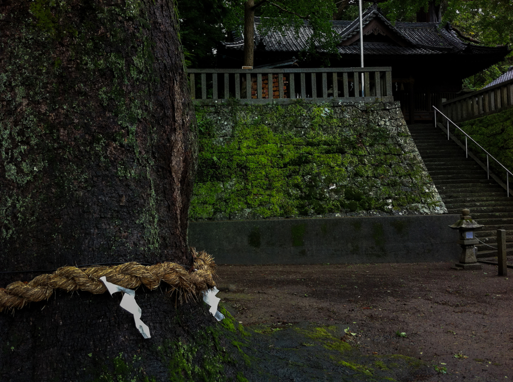 雨と神さま１０