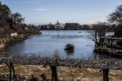 冬の蓮華寺池公園