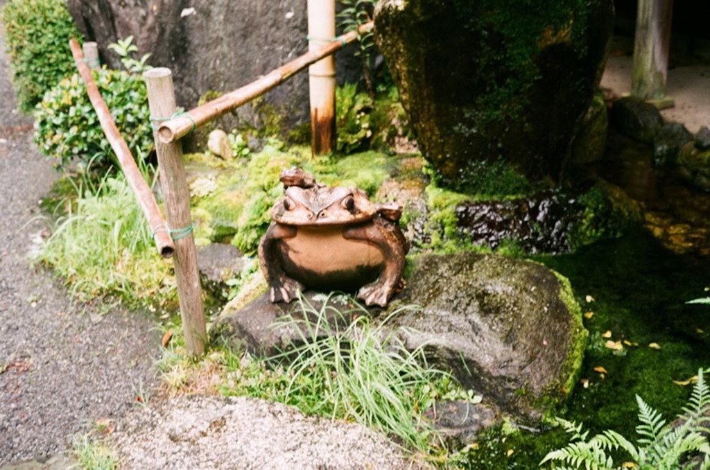 大井神社　本社　本殿横のカエル