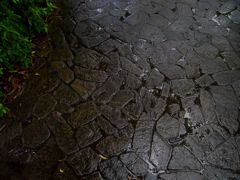 大井神社６
