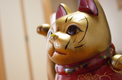 金猫ちゃん