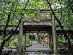 大井神社１３