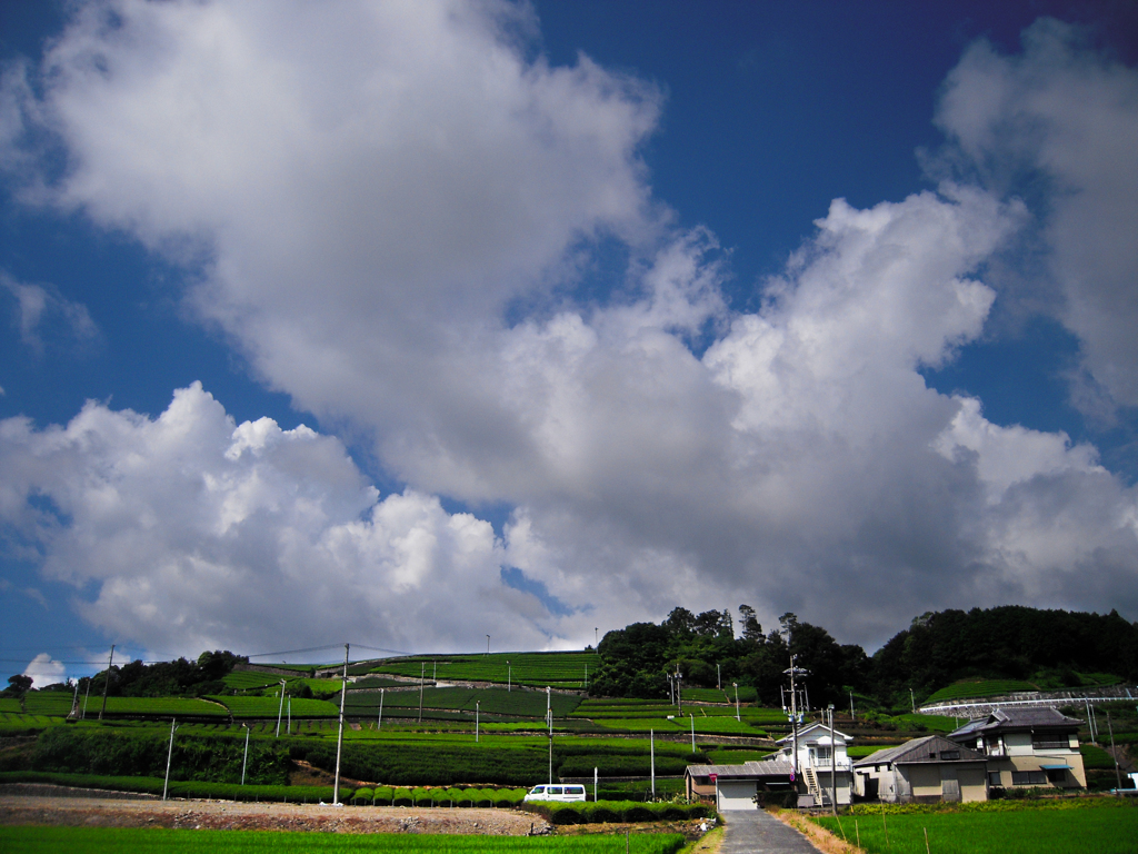 入道雲が出る前くらいの夏