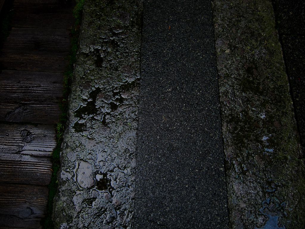 大井神社１５
