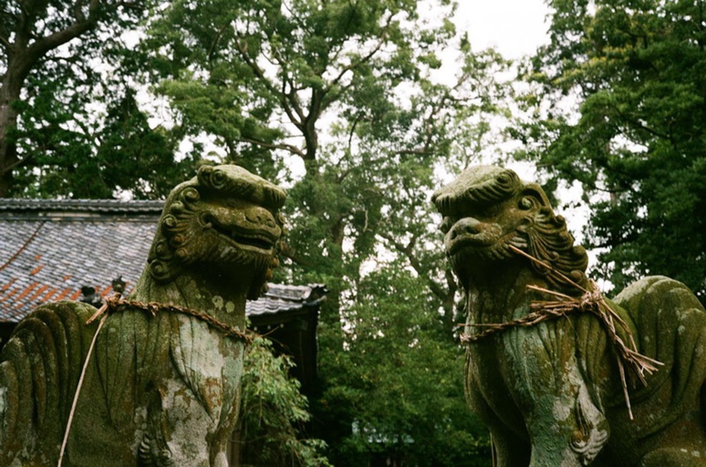 大井神社　分社