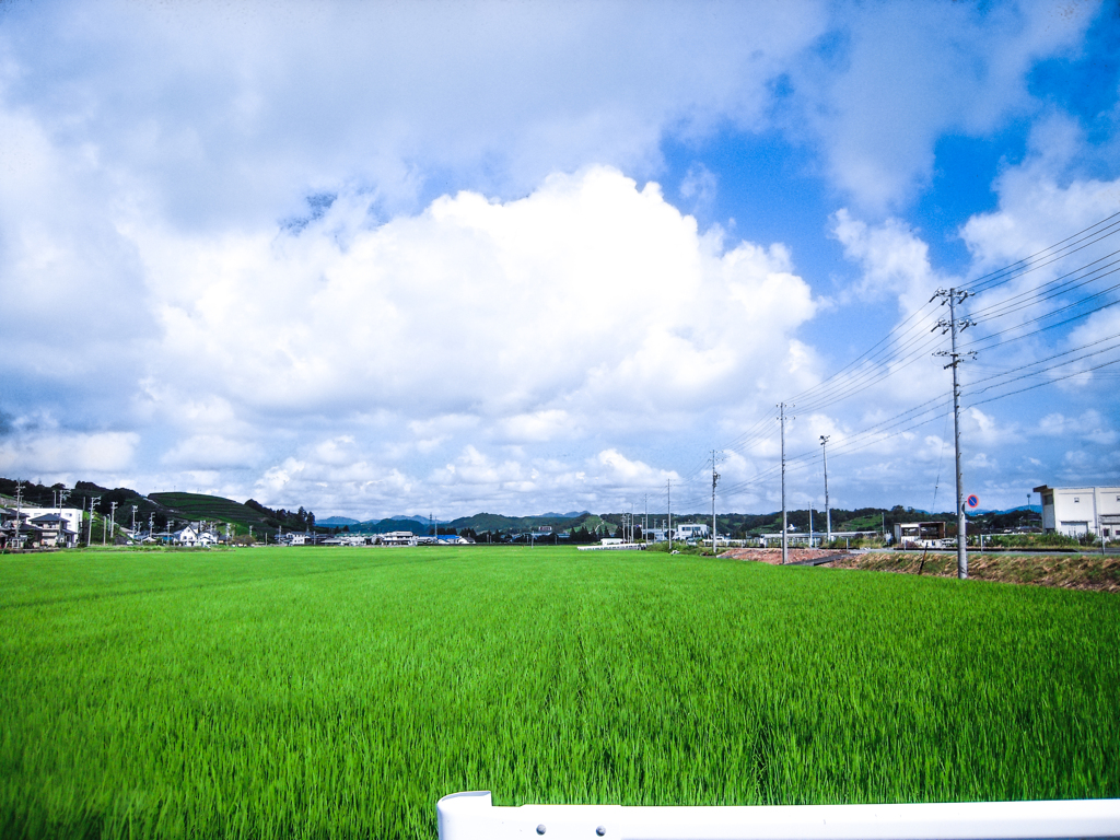 いなかの夏