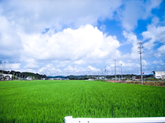 いなかの夏