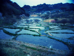 tanada１０