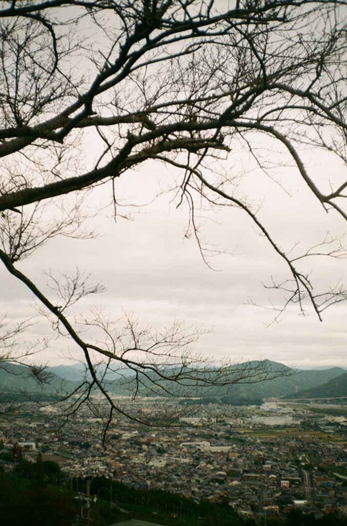 島田市遠景